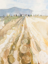 Load image into Gallery viewer, ABIDE